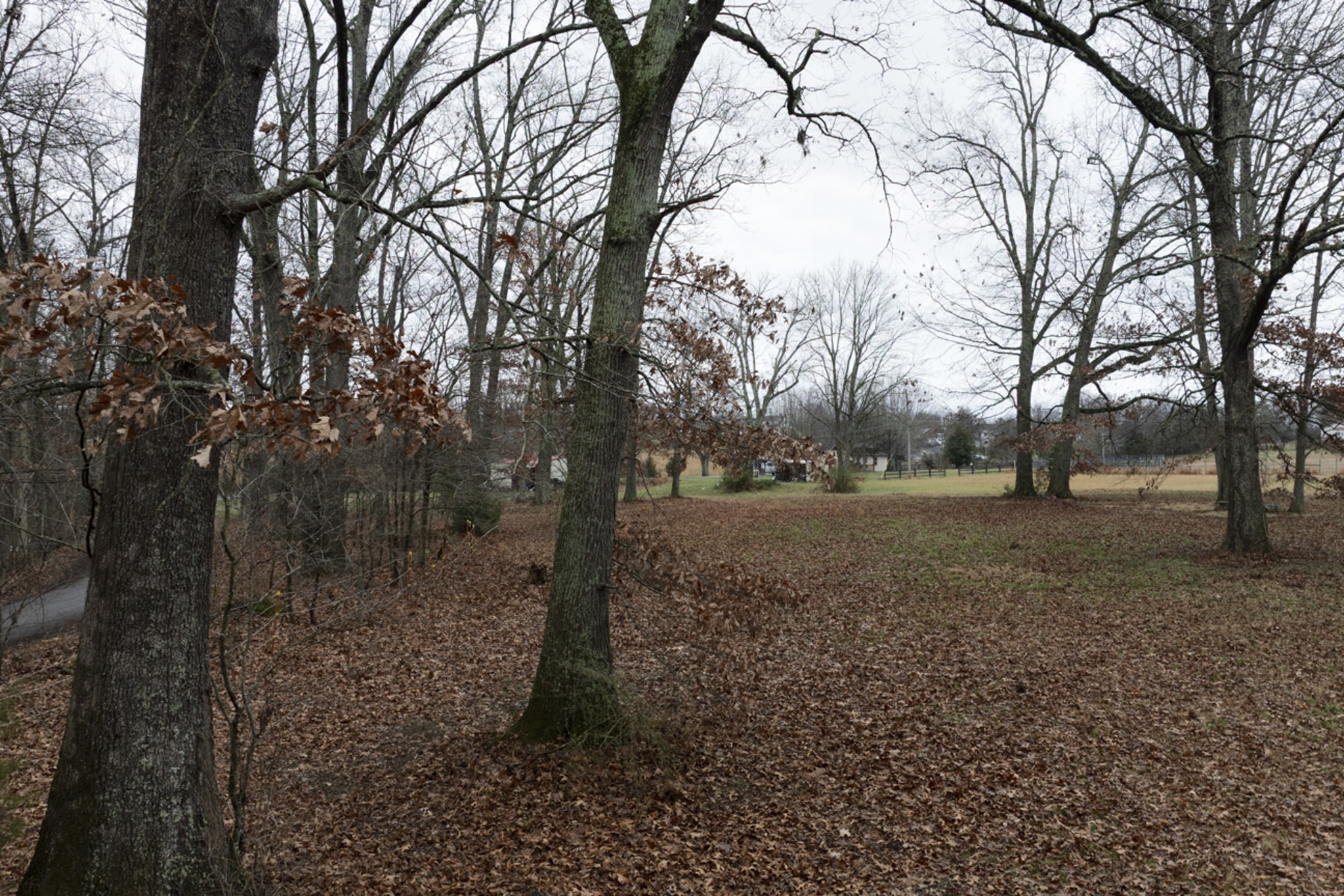 2103 Castelow Road Greenbrier, TN 37073 - Photo 13 of 13 a view of outdoor space with lots of trees