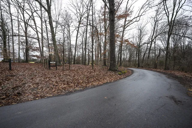 a view of a open space with trees