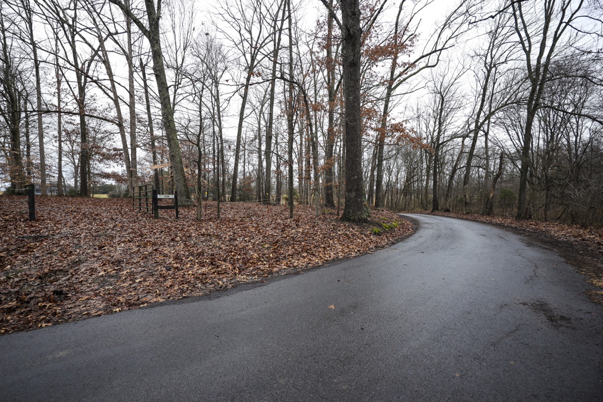 2103 Castelow Road Greenbrier, TN 37073 - Photo 2 of 13 a view of a backyard with large trees