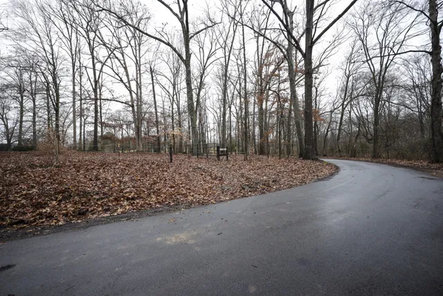 a view of a yard with trees