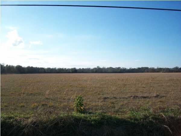 0 Leroy Brooks Road Opelousas, LA 70570 - Photo 4 of 6 Gallery Image 4