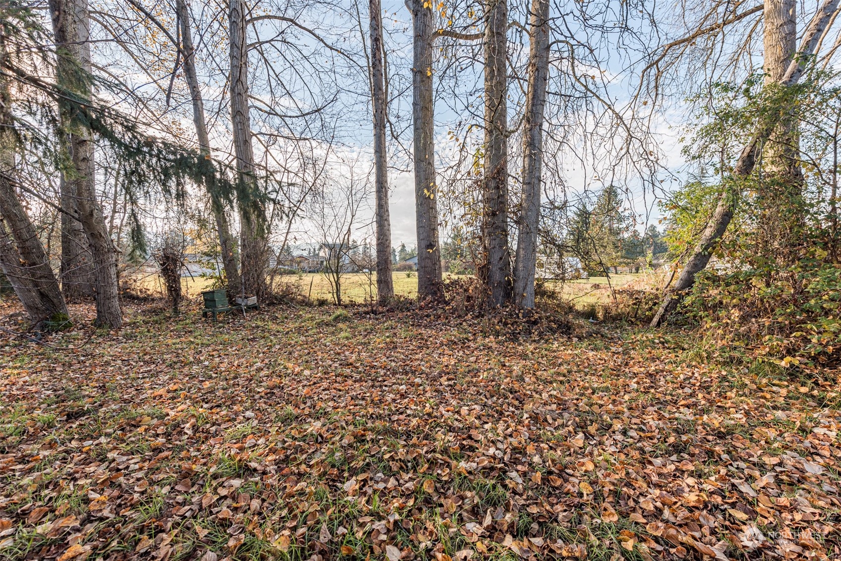 970 River Road Sequim, WA 98382 - Photo 31 of 40 a backyard of a house with lots of green space