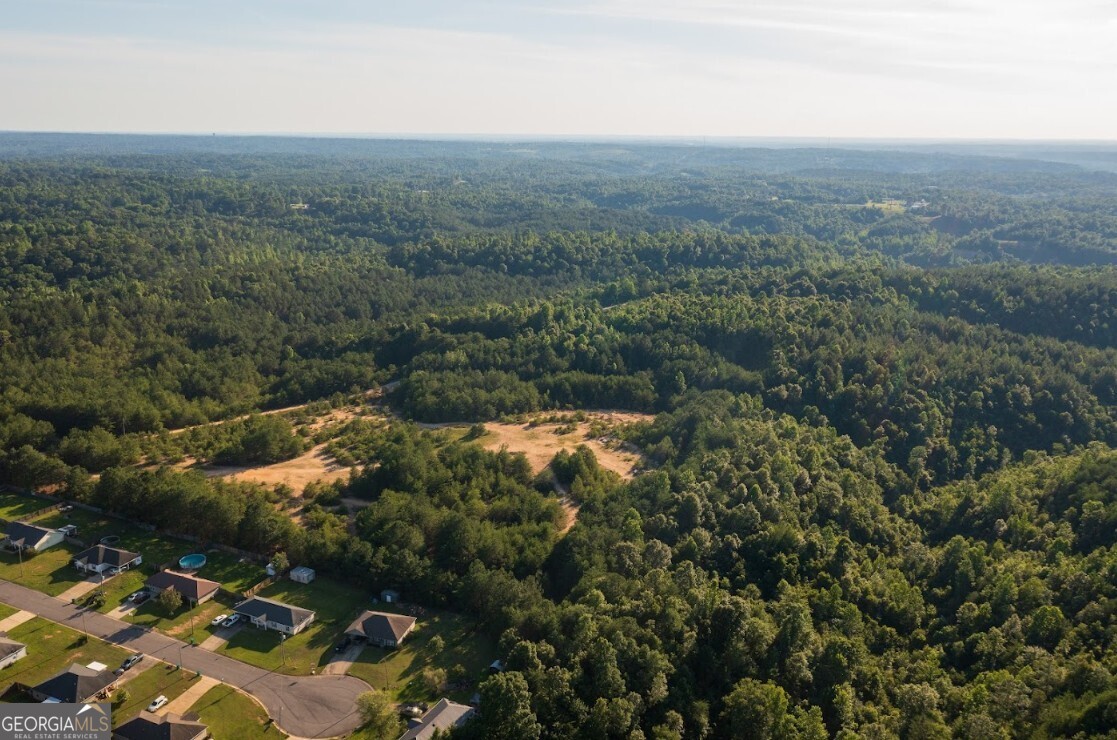 0 Gilmore Mine Road, Unit TRACT A/B Cottondale, AL 35453 - Photo 6 of 18