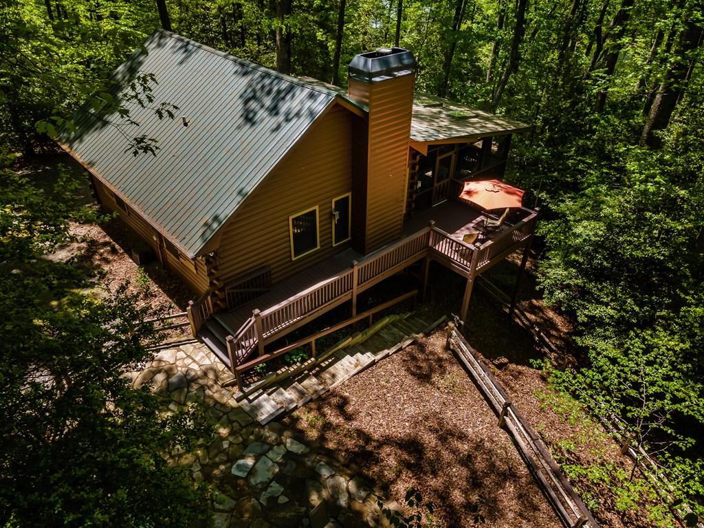 137 Tipton Gap Road Blue Ridge, GA 30513 - Photo 3 of 35