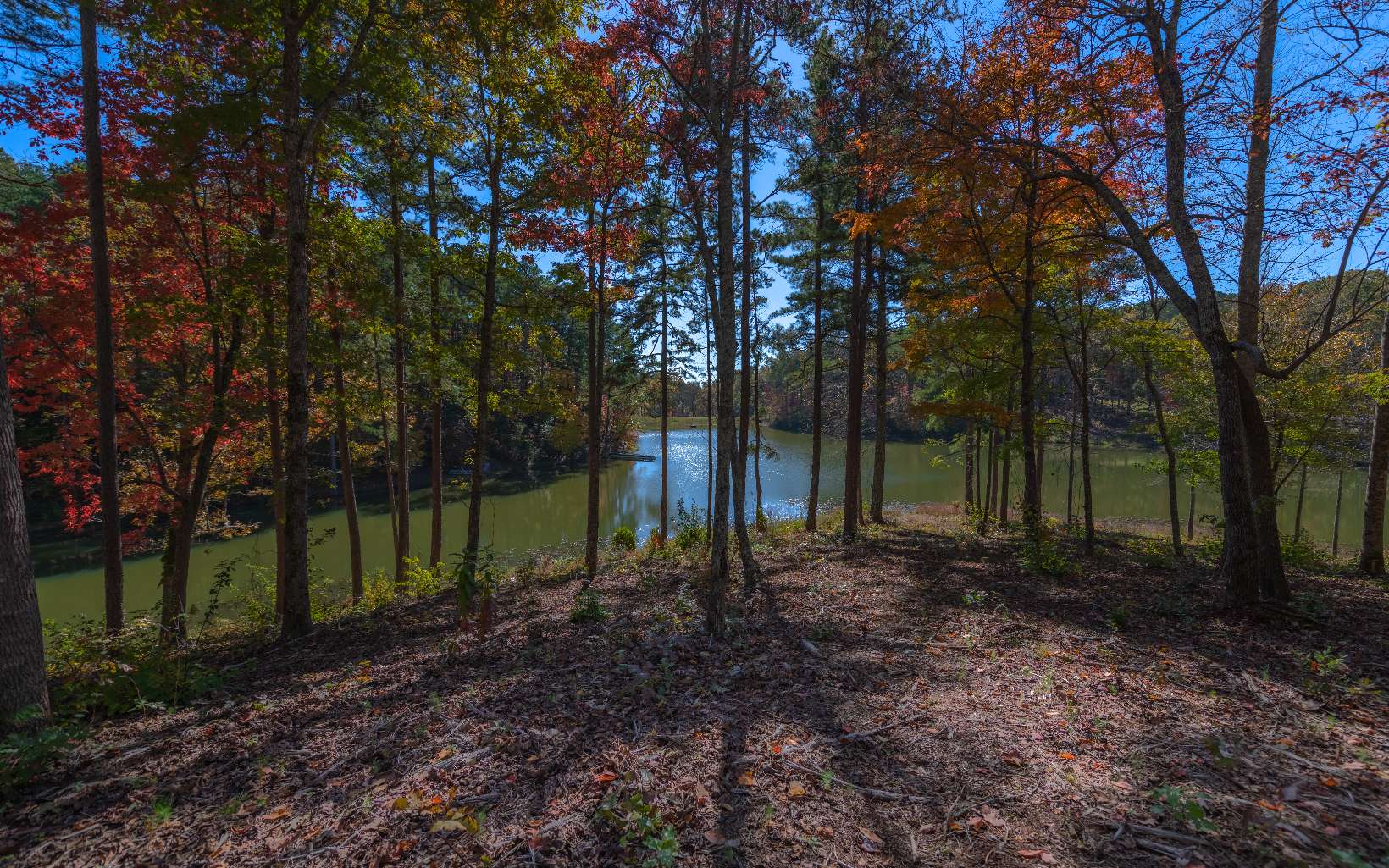 174 R Lake Ellijay, GA 30540 - Photo 1 of 4 Main View