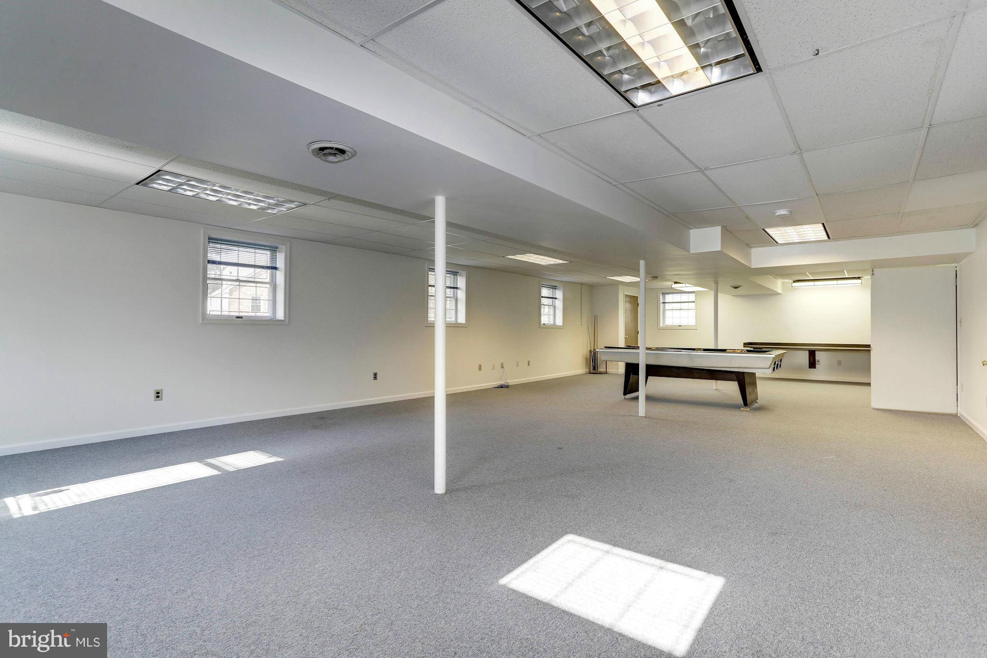10003 Old Frederick Road Ellicott City, MD 21042 - Photo 23 of 30 INCREDIBLE LOWER LEVEL REC ROOM