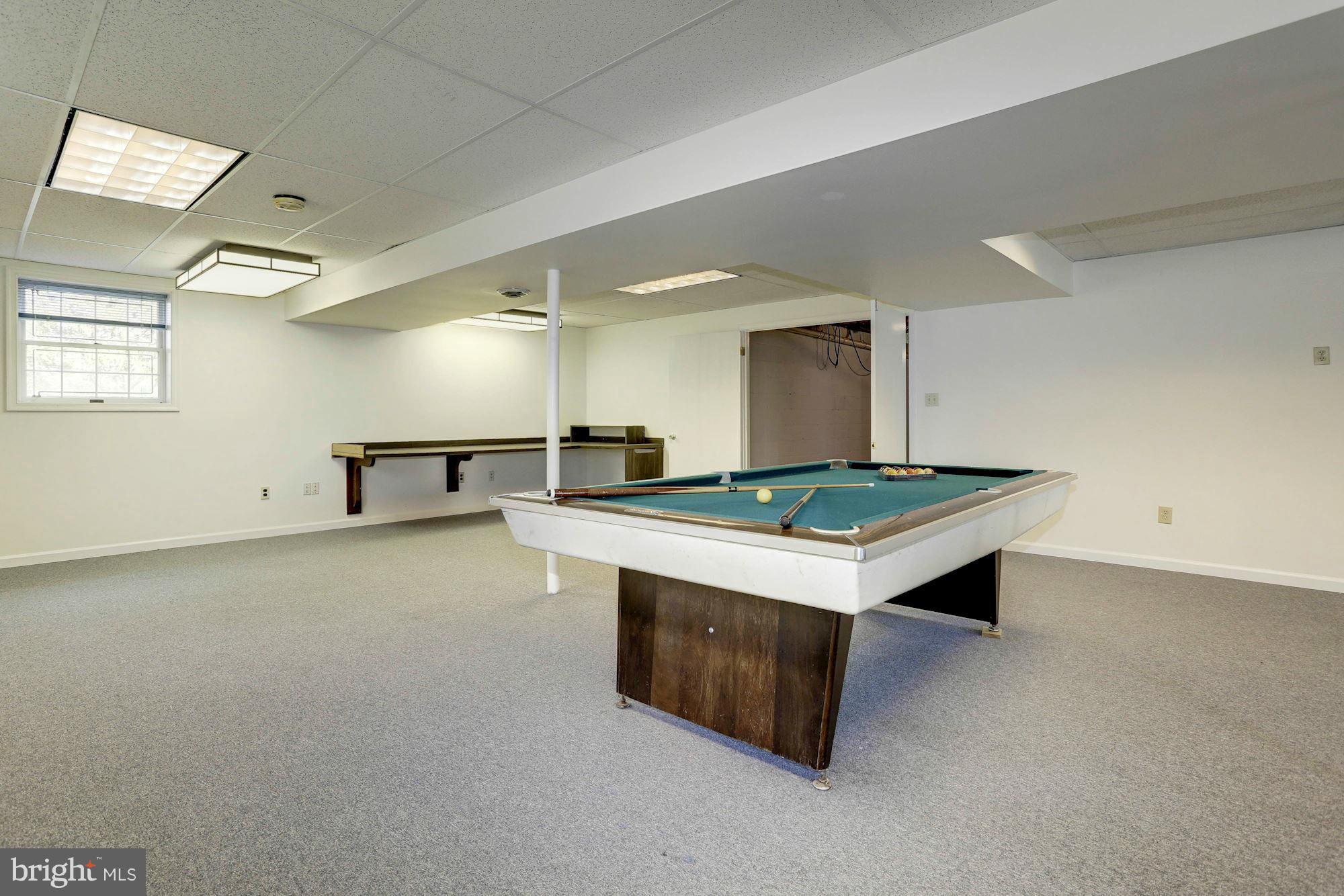 10003 Old Frederick Road Ellicott City, MD 21042 - Photo 24 of 30 LOWER LEVEL REC ROOM WITH WALKOUT TO REAR YARD