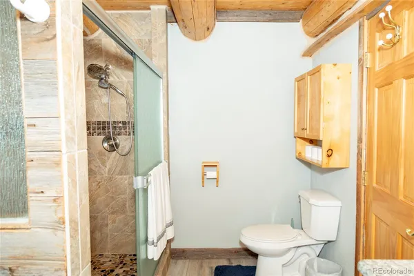 a bathroom with a toilet and a shower