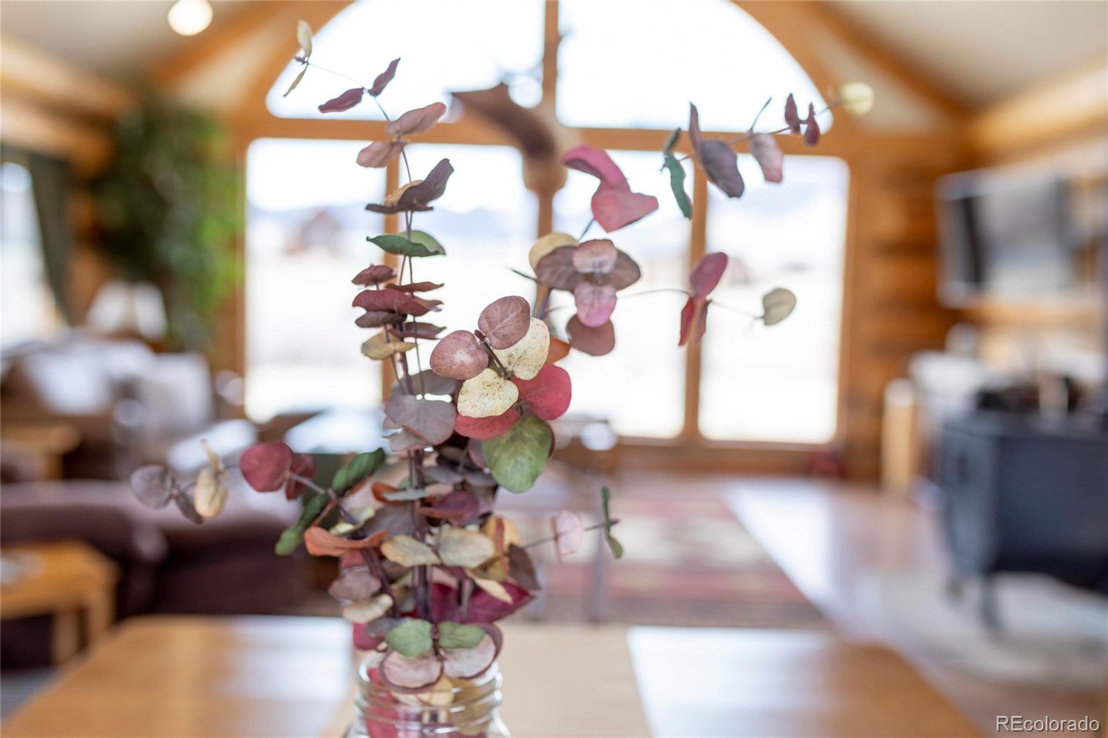 108 Forest Road, Unit 552 Creede, CO 81130 - Photo 28 of 32 a view of a vase with flowers