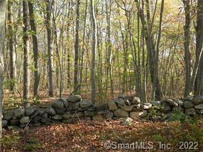 Lot 7 Waterman Road Lebanon, CT 06249 - Photo 1 of 1 a view of outdoor space