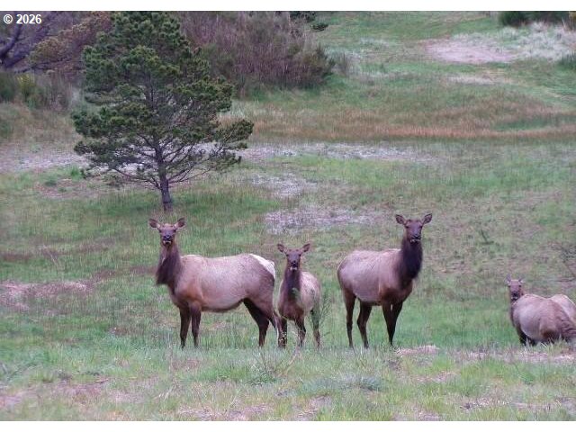 0 Pinehurst Road, Unit 38 Gearhart, OR 97138 - Photo 12 of 12 Community Amenities