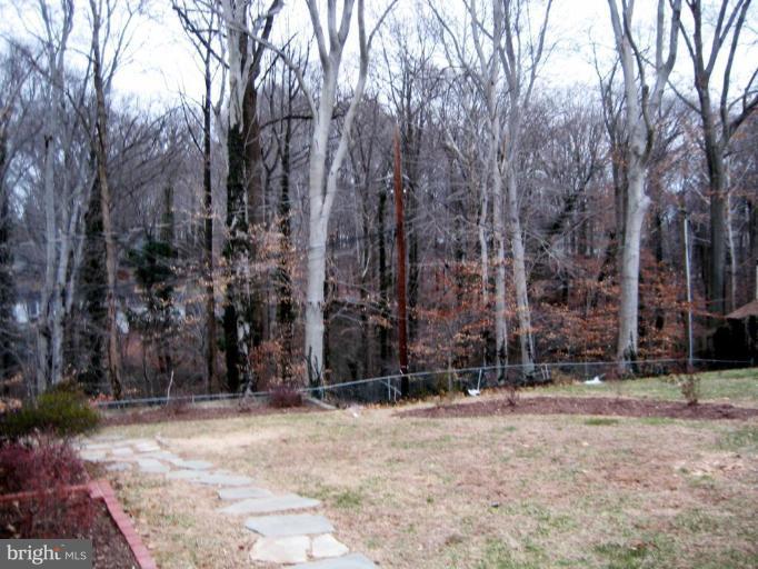 6581 Braddock Road Alexandria, VA 22312 - Photo 3 of 27 Back yard
