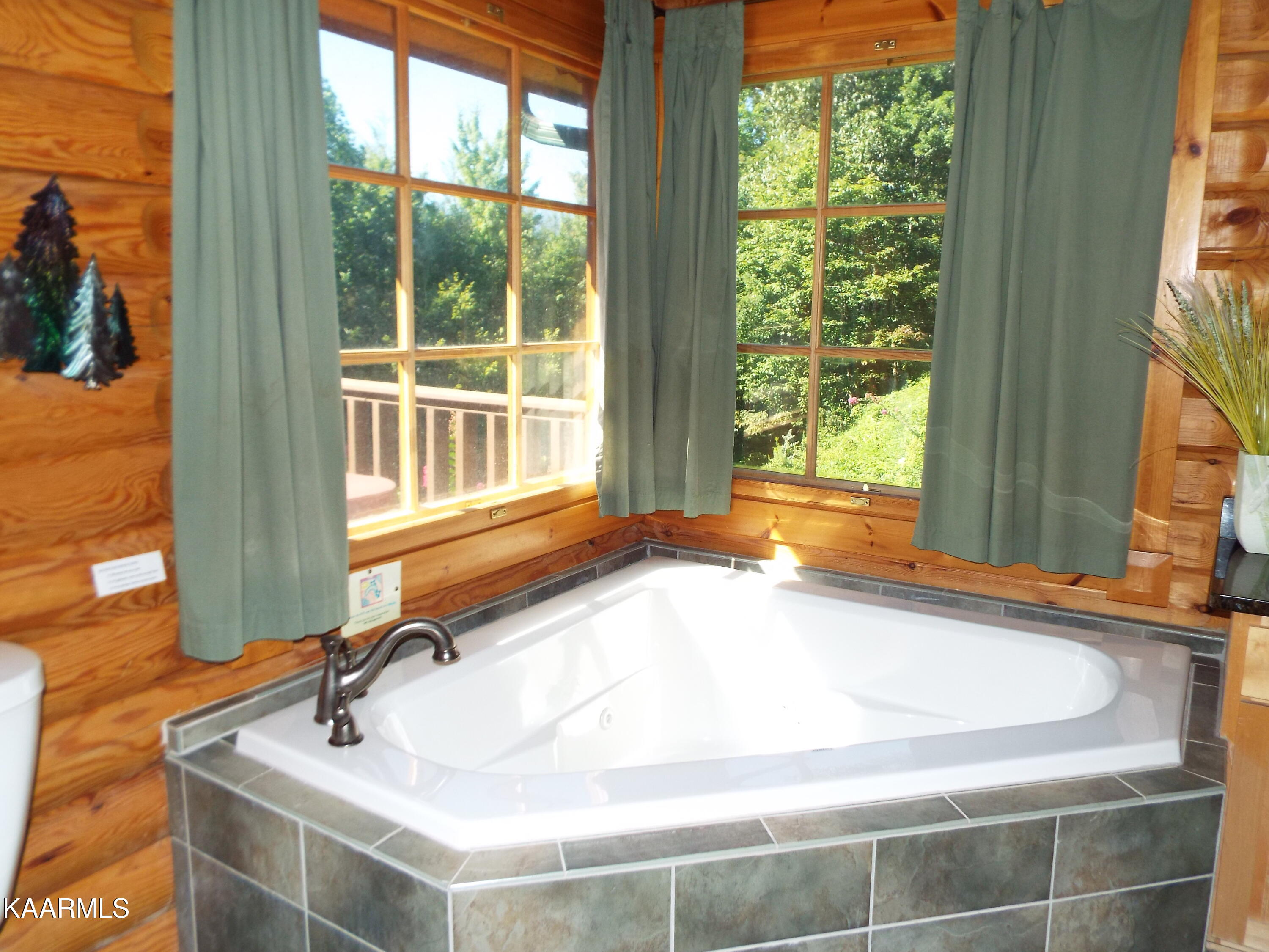 630 Big Bear Ridge Road Gatlinburg, TN 37738 - Photo 19 of 39 DSCF8068