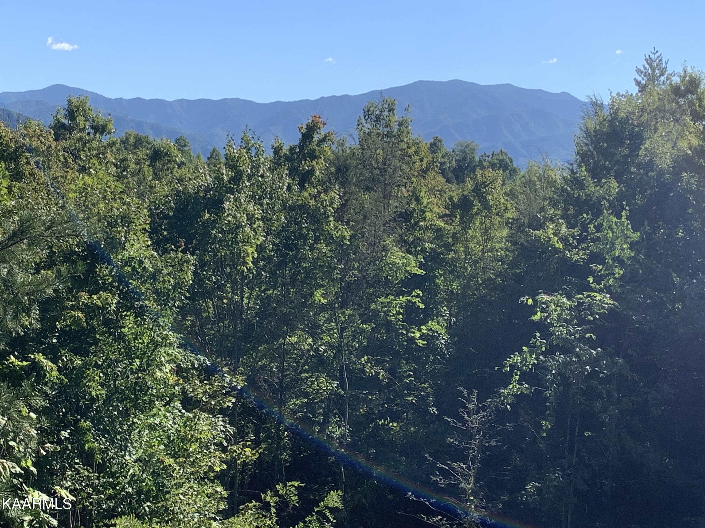 630 Big Bear Ridge Road Gatlinburg, TN 37738 - Photo 34 of 39 IMG_8581