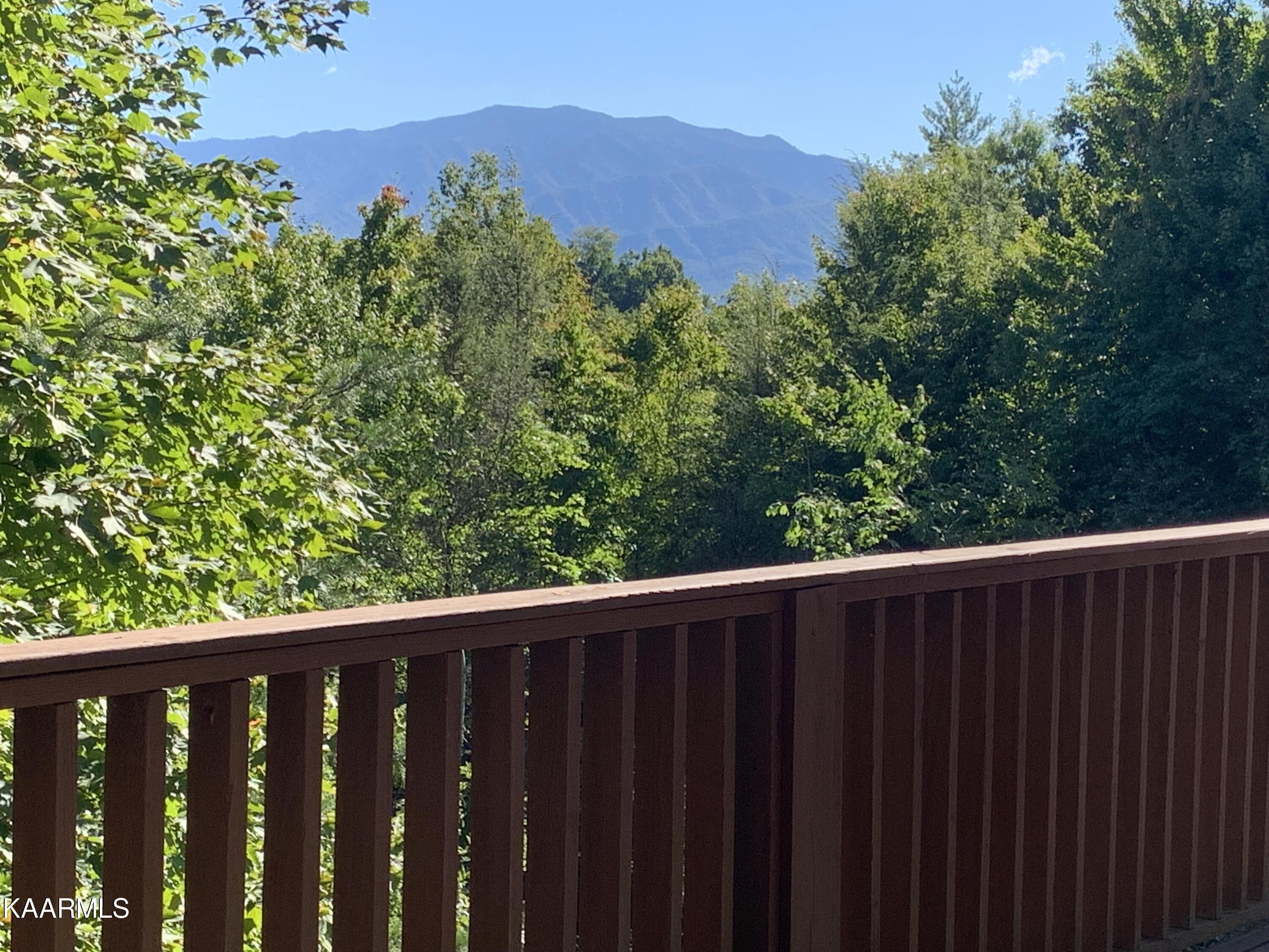 630 Big Bear Ridge Road Gatlinburg, TN 37738 - Photo 4 of 39 IMG_8589