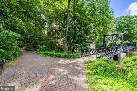 a picture of flowers