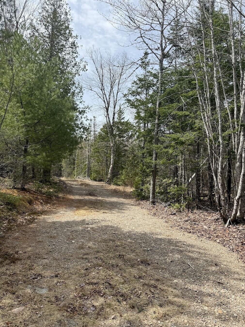 8-9 Western Stream Road Robbinston, ME 04671 - Photo 2 of 45 Western RD 8