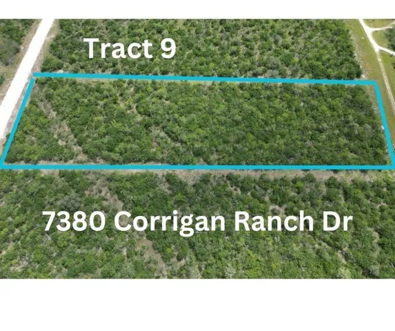 $50,000 | 7380 Corrigan Ranch Drive- Tract 9, Skidmore, TX 78389