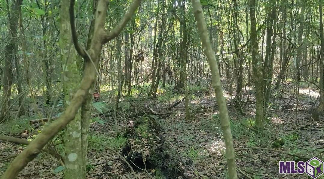 26799-26355 Greenwell Springs Road Greenwell Springs, LA 70739 - Photo 2 of 5