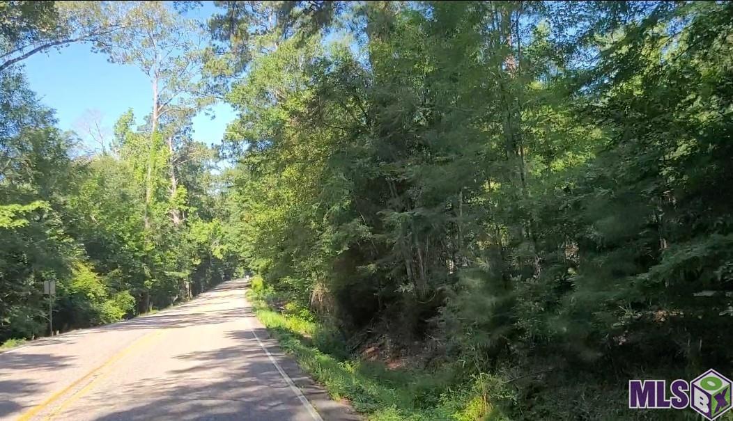 26799-26355 Greenwell Springs Road Greenwell Springs, LA 70739 - Photo 4 of 5