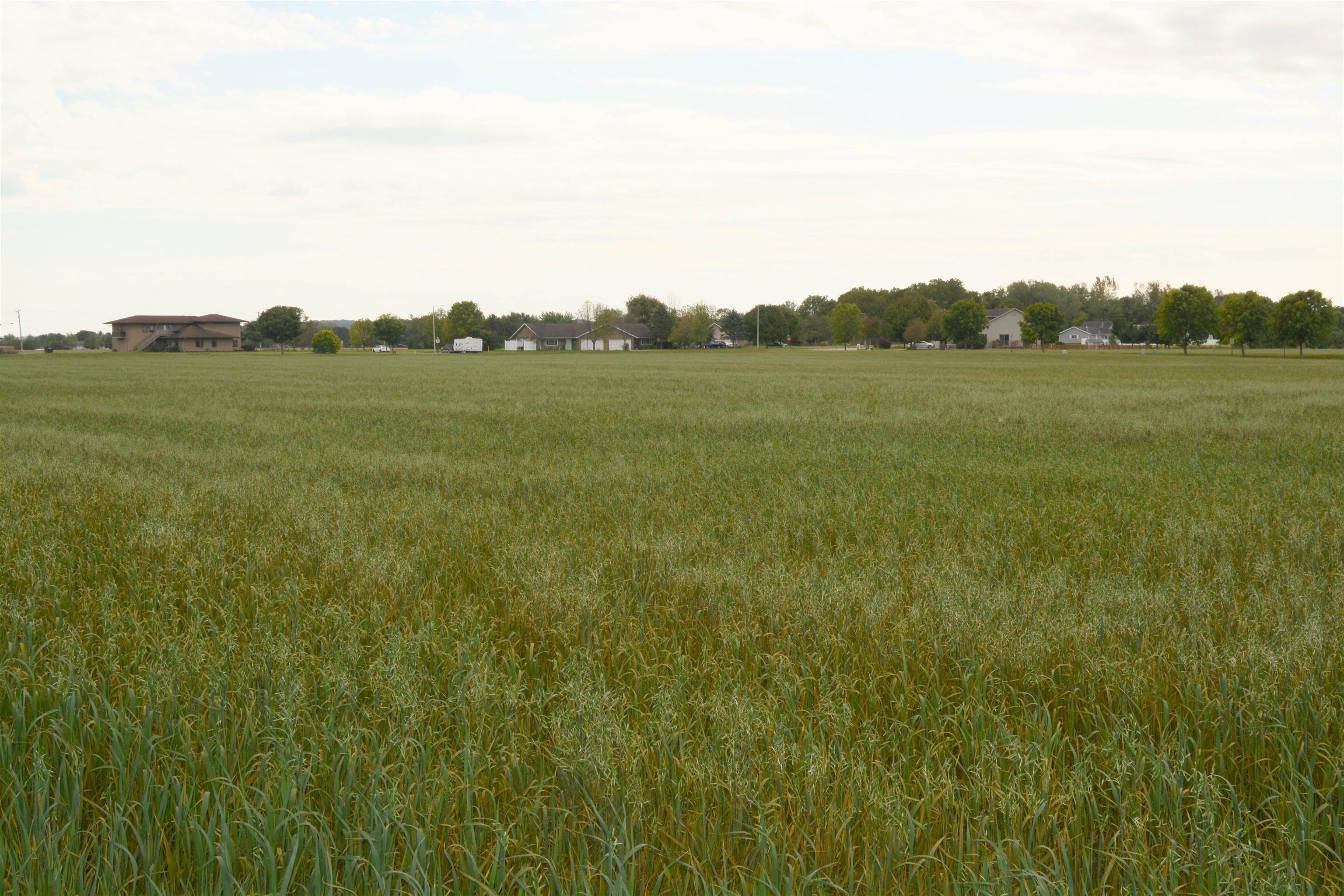 49 North Westmor Spring Green Spring Green, WI 53588 - Photo 8 of 34