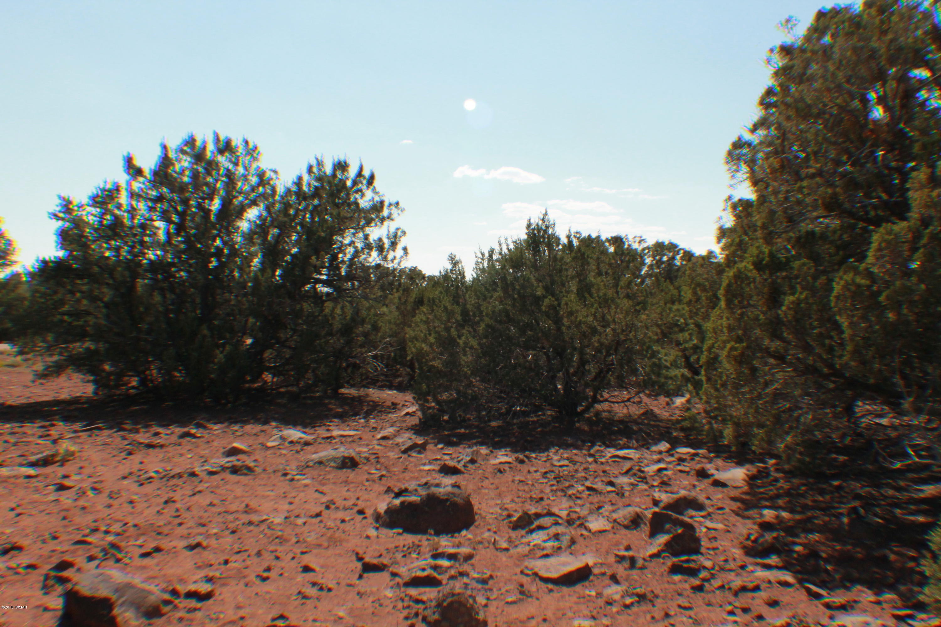 Lot 49 Eagle Ridge Show Low, AZ 85901 - Photo 11 of 18