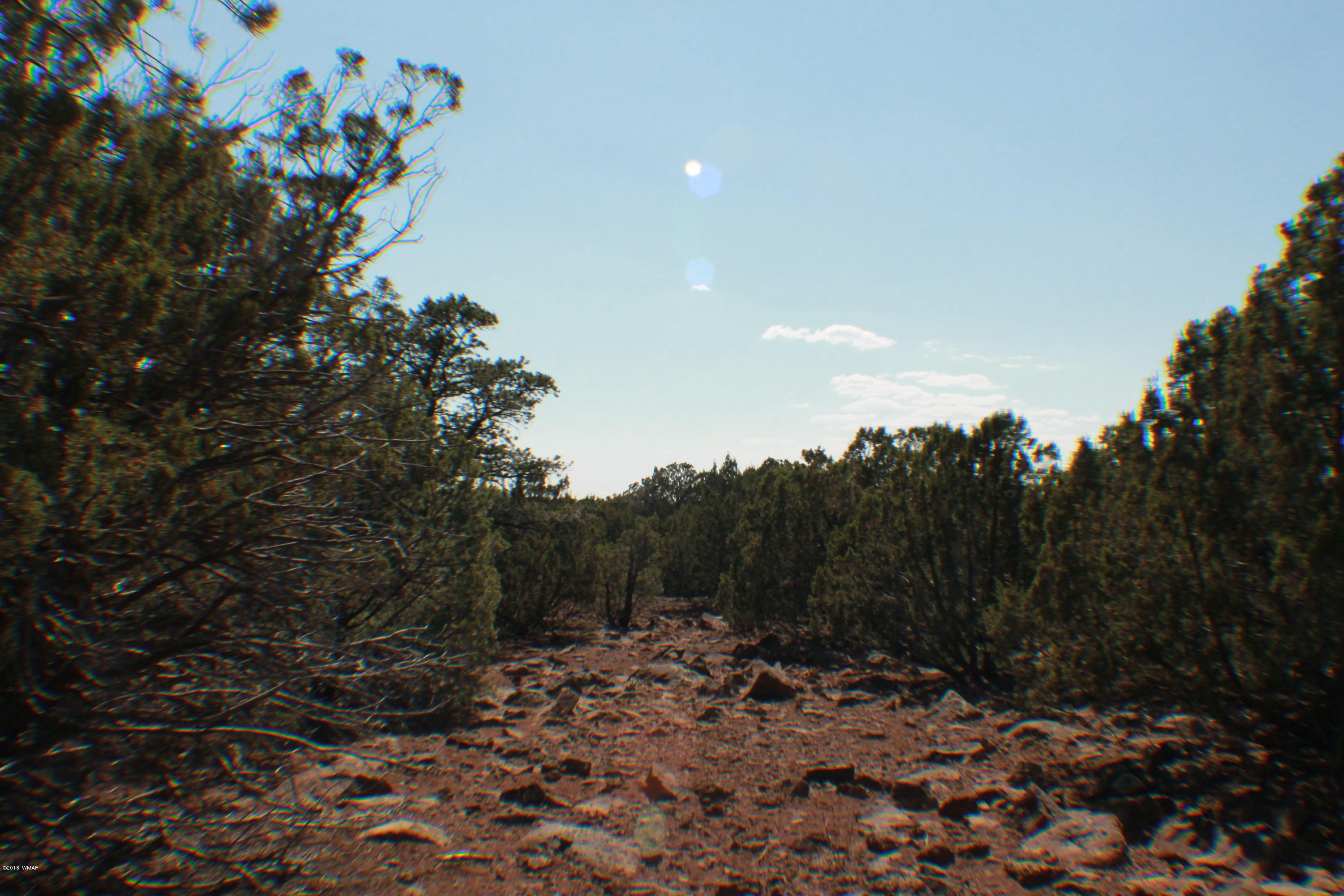 Lot 49 Eagle Ridge Show Low, AZ 85901 - Photo 12 of 18