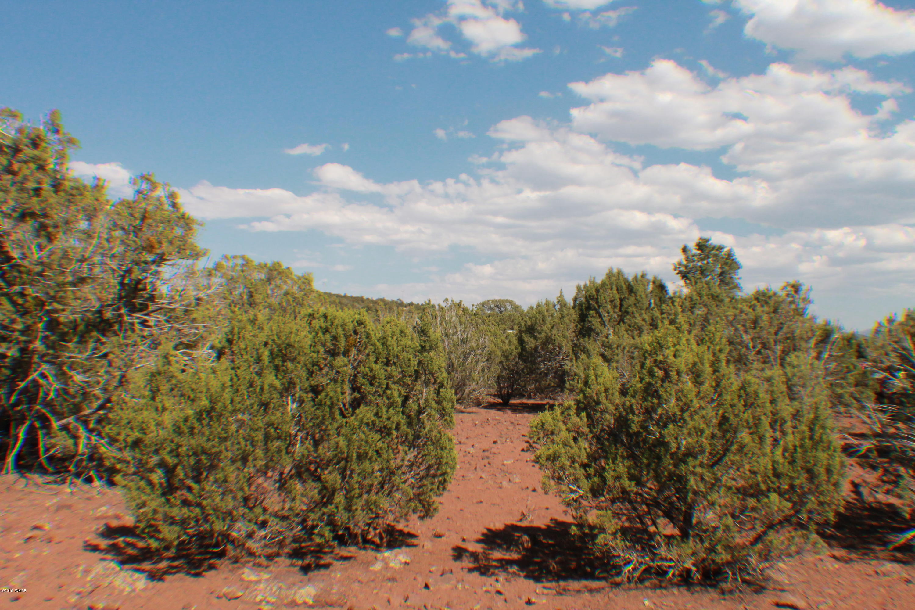 Lot 49 Eagle Ridge Show Low, AZ 85901 - Photo 13 of 18