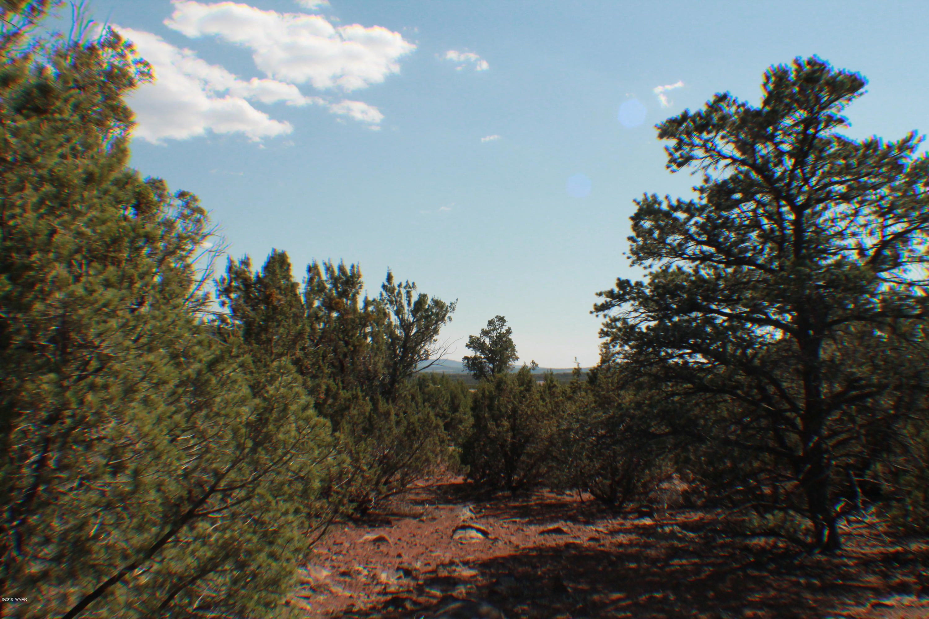 Lot 49 Eagle Ridge Show Low, AZ 85901 - Photo 14 of 18