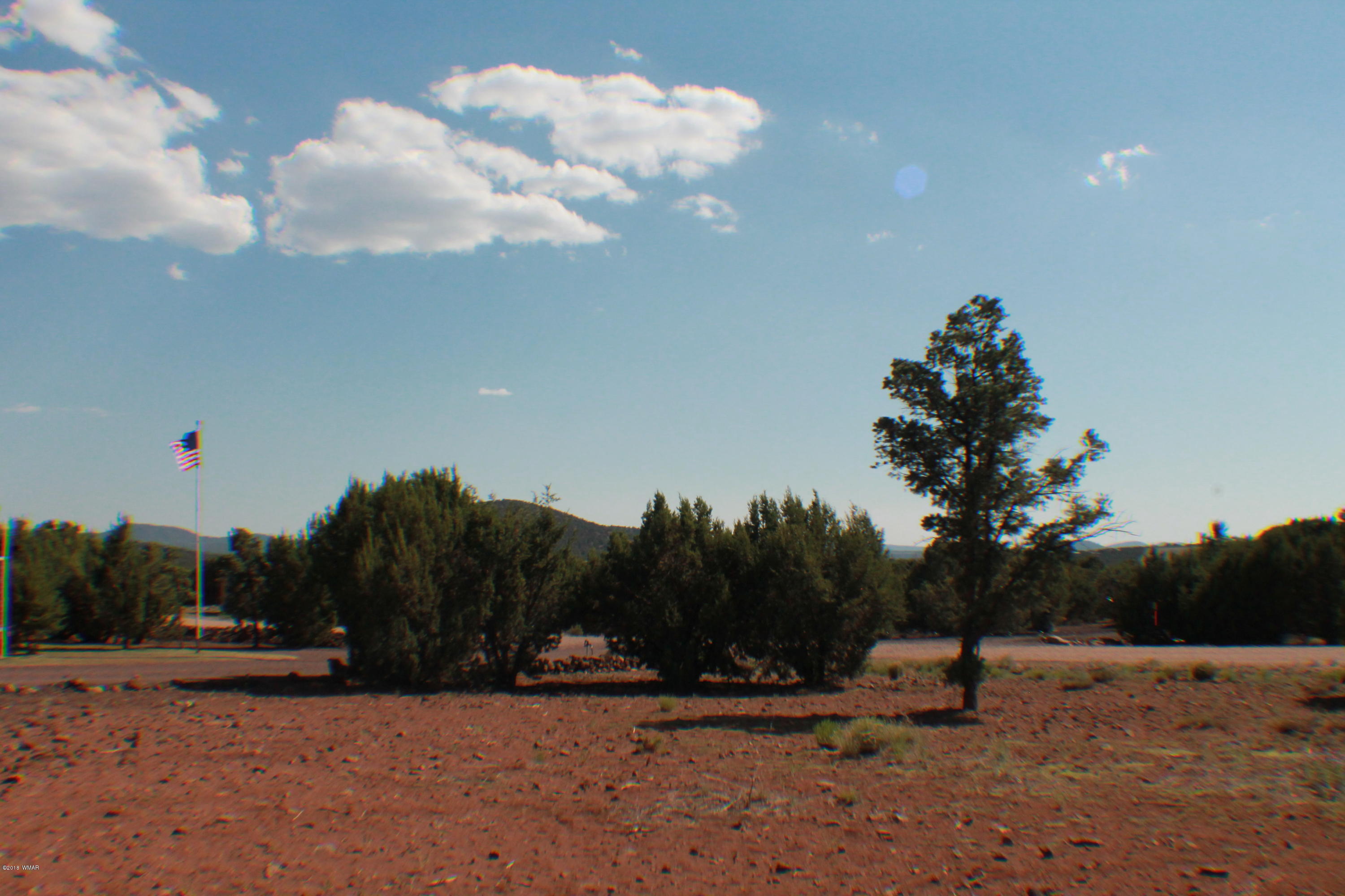 Lot 49 Eagle Ridge Show Low, AZ 85901 - Photo 15 of 18