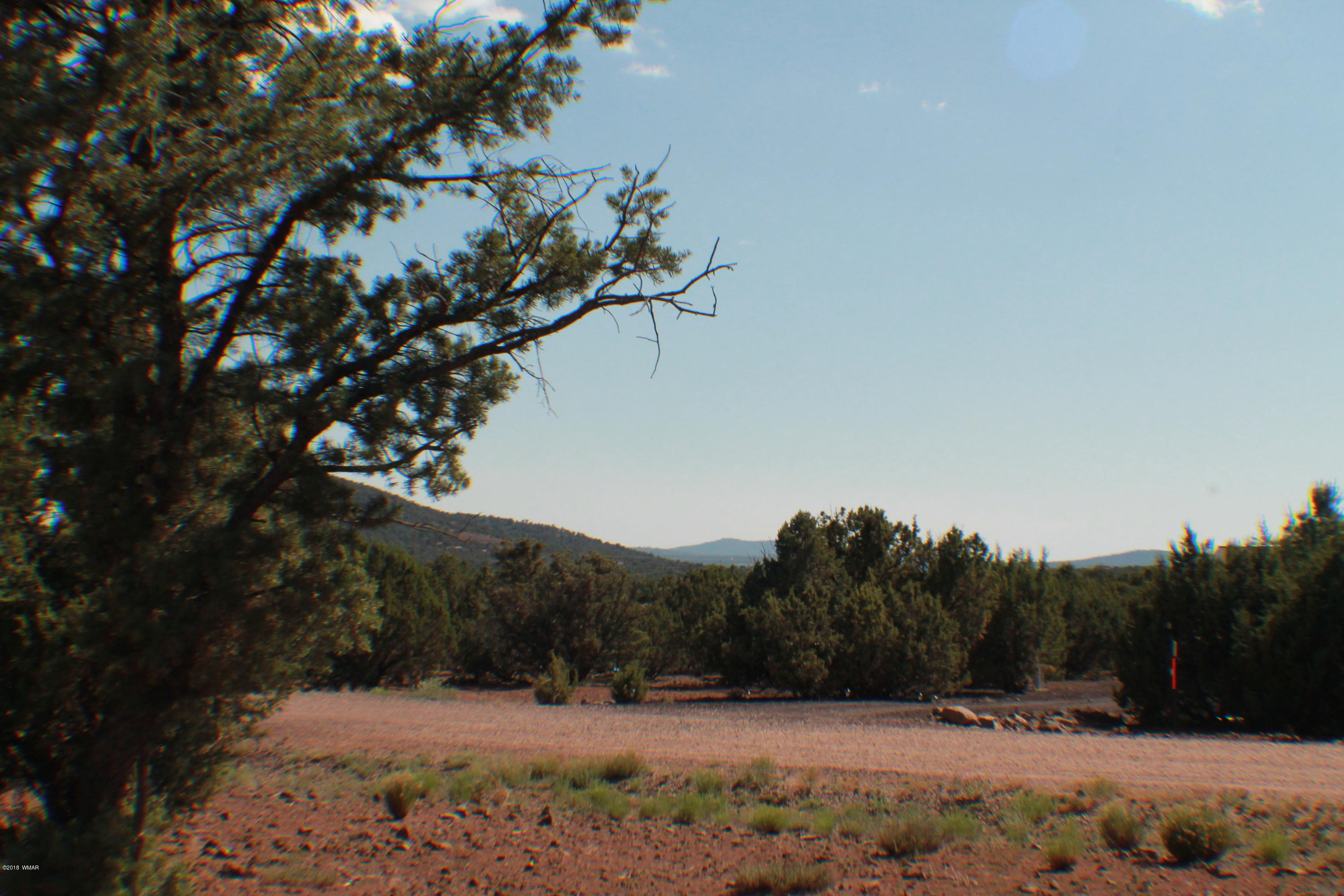 Lot 49 Eagle Ridge Show Low, AZ 85901 - Photo 17 of 18