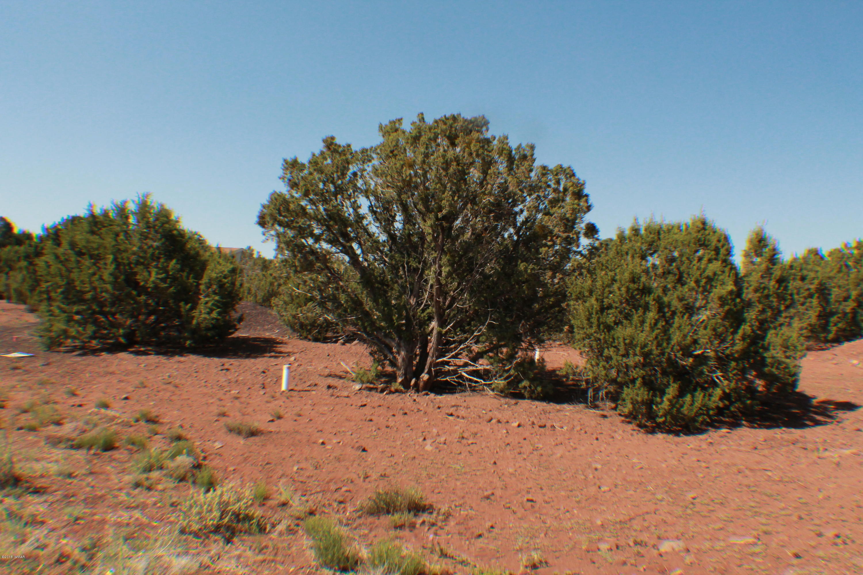 Lot 49 Eagle Ridge Show Low, AZ 85901 - Photo 2 of 18