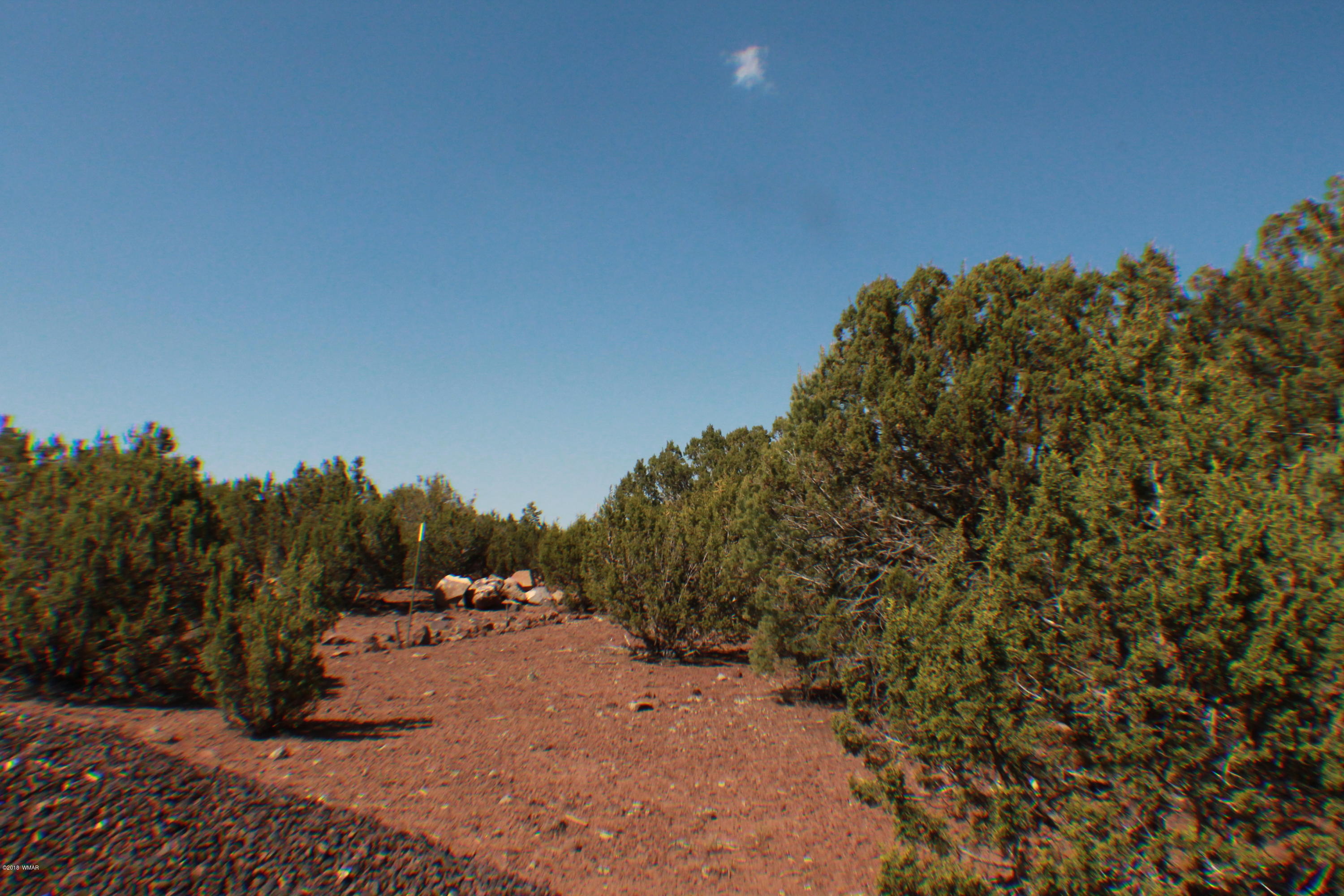 Lot 49 Eagle Ridge Show Low, AZ 85901 - Photo 3 of 18