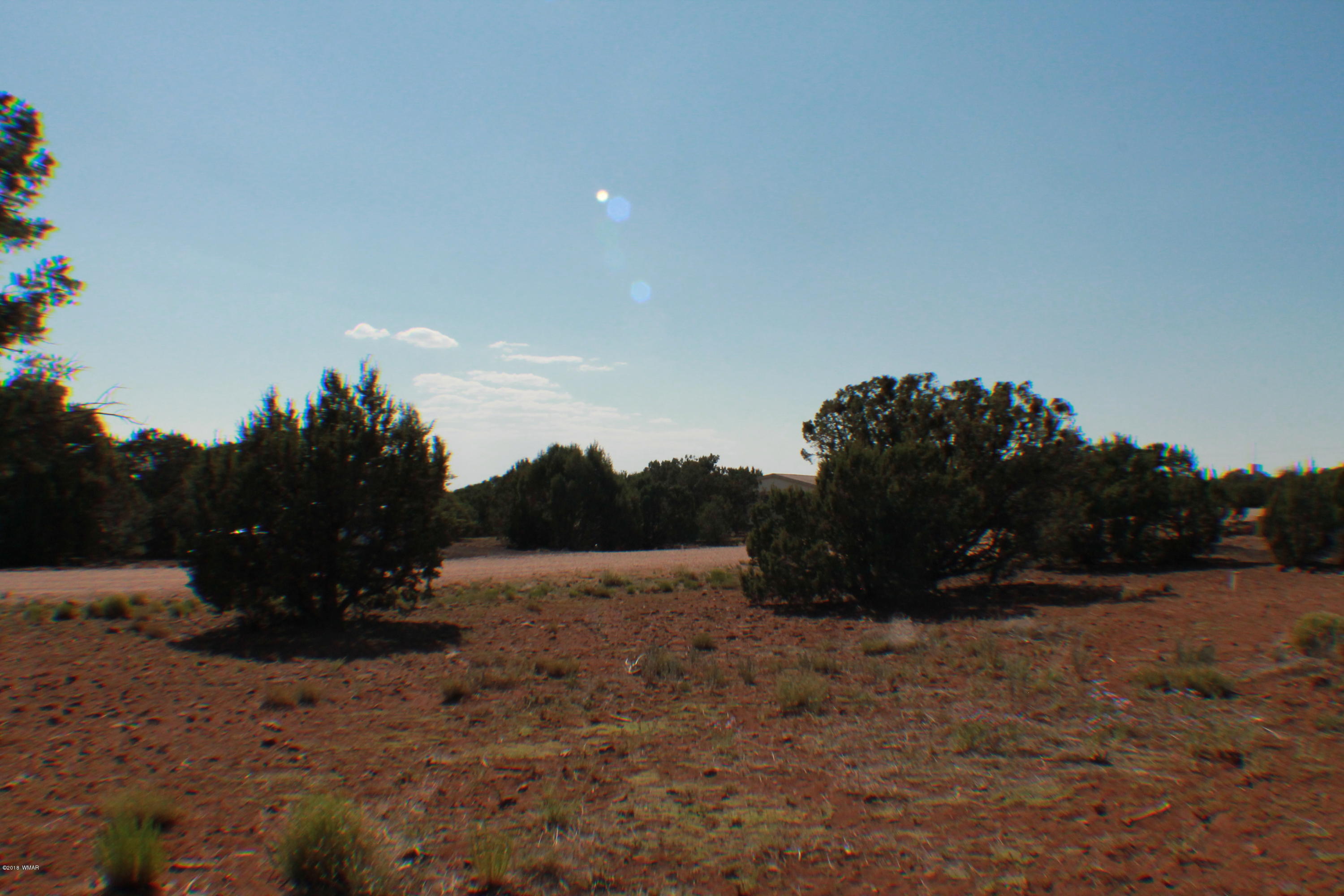 Lot 49 Eagle Ridge Show Low, AZ 85901 - Photo 5 of 18