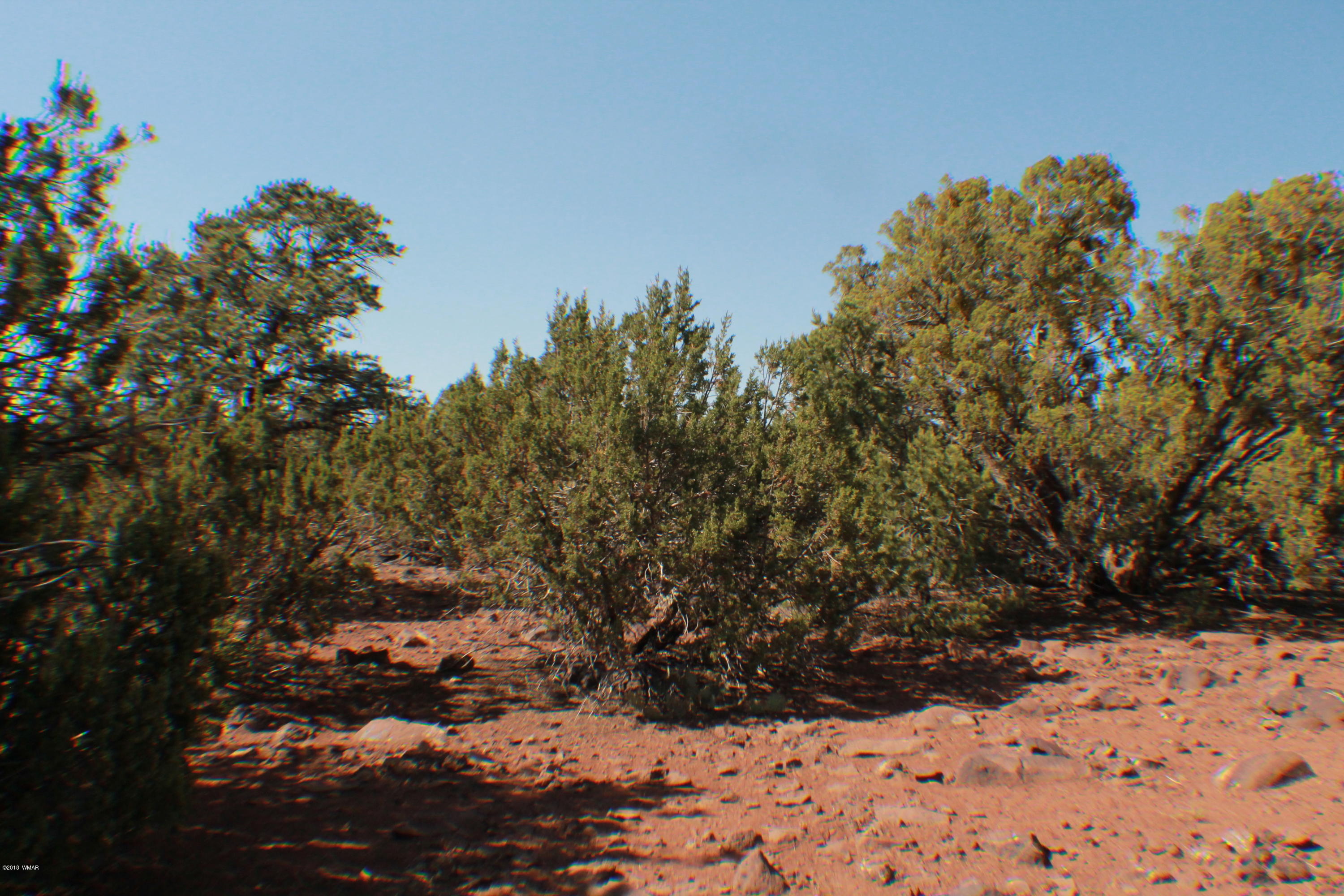 Lot 49 Eagle Ridge Show Low, AZ 85901 - Photo 6 of 18