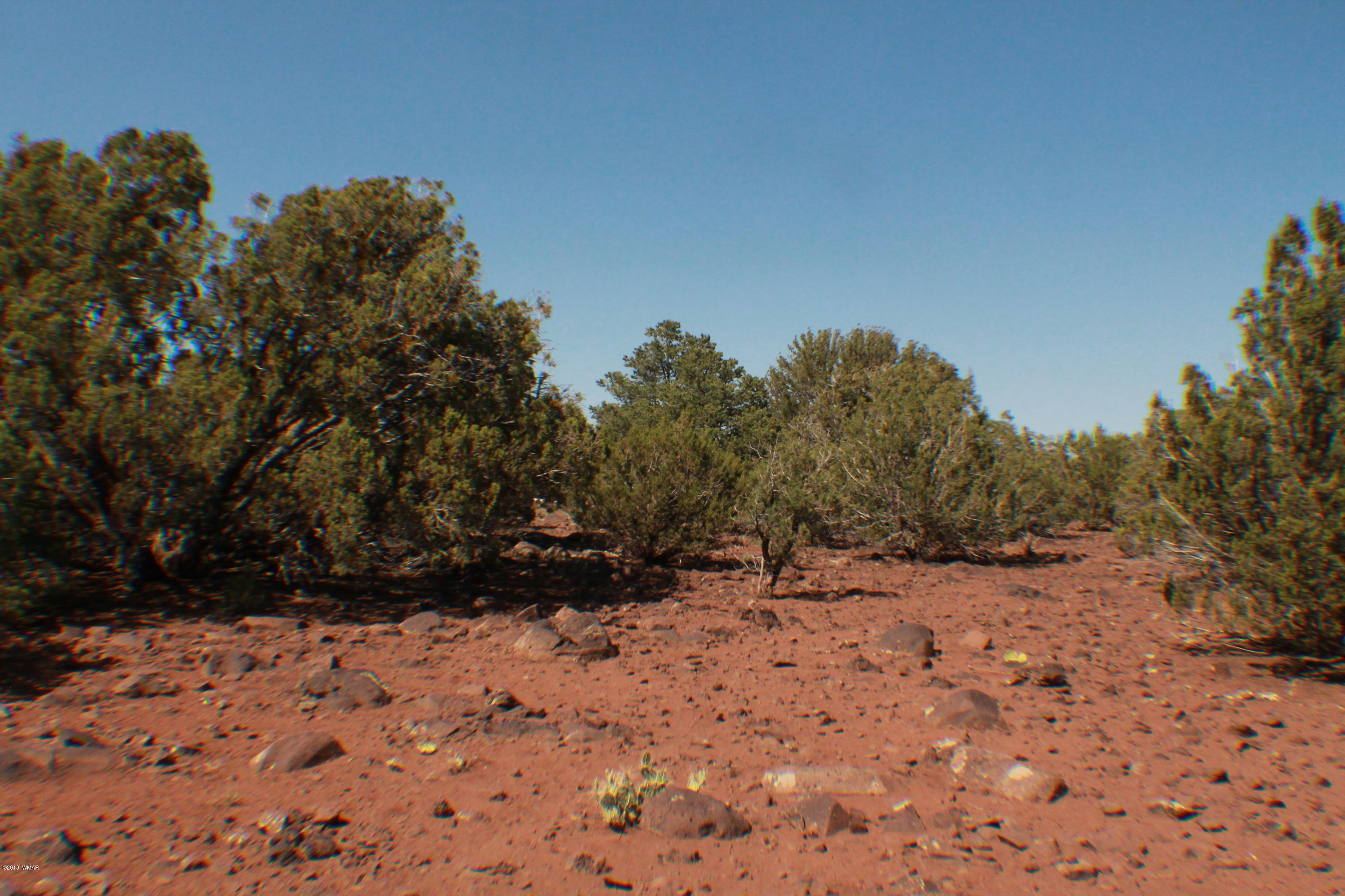 Lot 49 Eagle Ridge Show Low, AZ 85901 - Photo 7 of 18