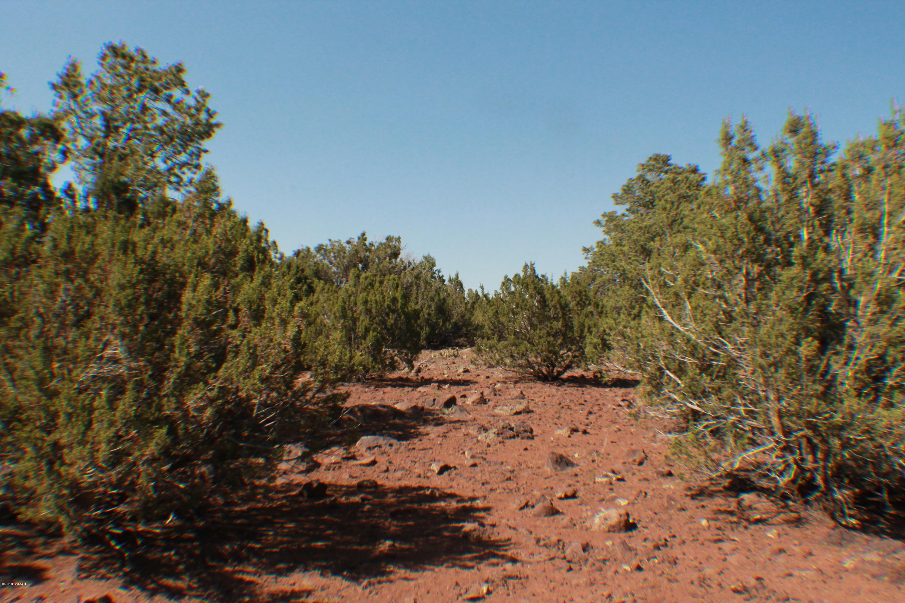 Lot 49 Eagle Ridge Show Low, AZ 85901 - Photo 9 of 18