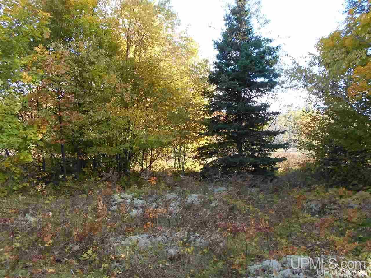 Tbd Tee Lake Road, Unit EAST PARCEL Germfask, MI 49836 - Photo 6 of 10