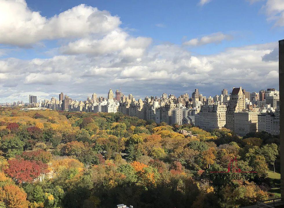 160 Central Park South, Unit 2118/2120 Manhattan, NY 10019 - Photo 2 of 16 a view of a city