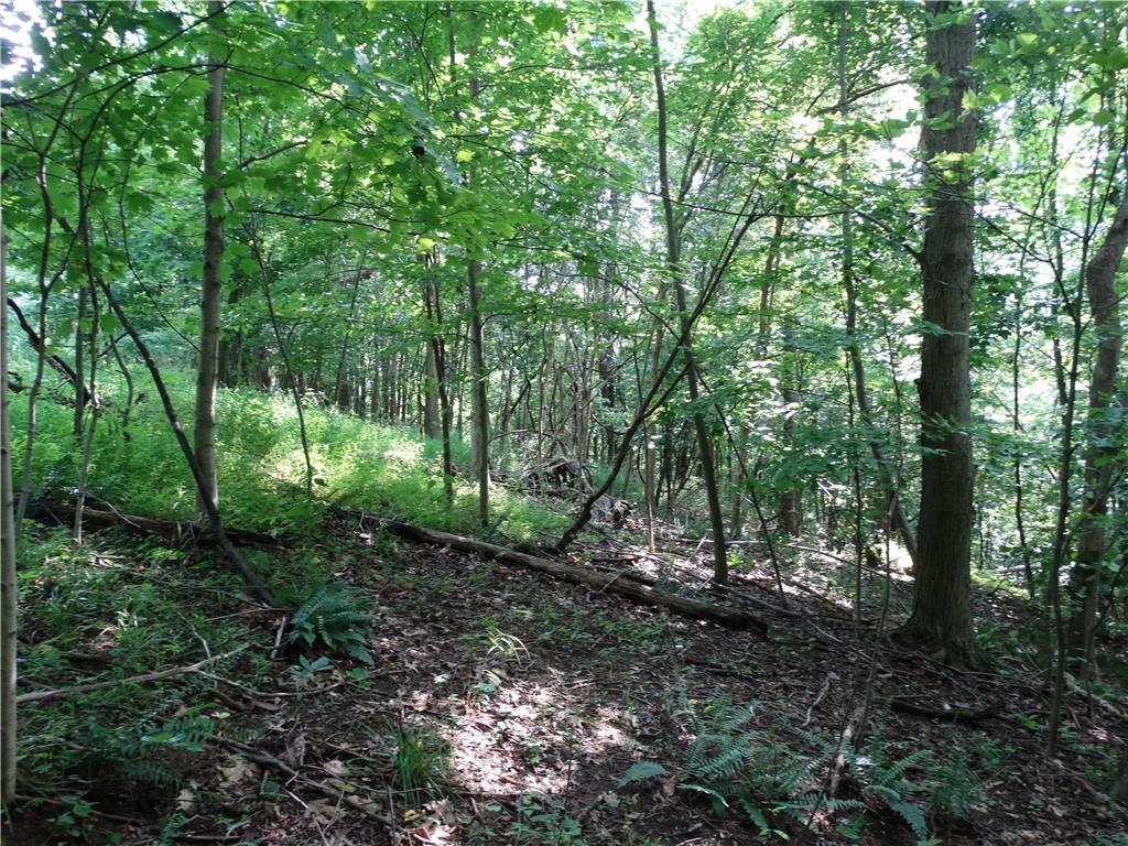 2 Moscow Road Waynesburg, PA 15370 - Photo 11 of 26 Gallery Image 11