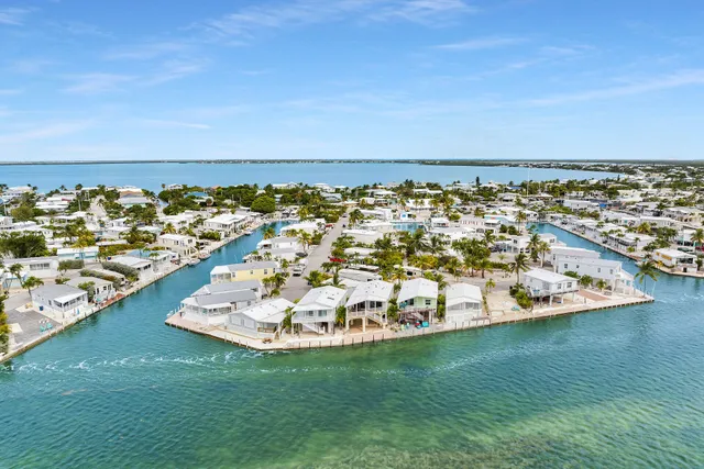 a view of a lake with a city