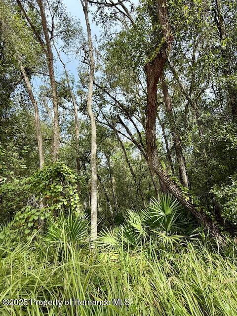 0 Gresham Road Webster, FL 33597 - Photo 14 of 18 IMG_2934