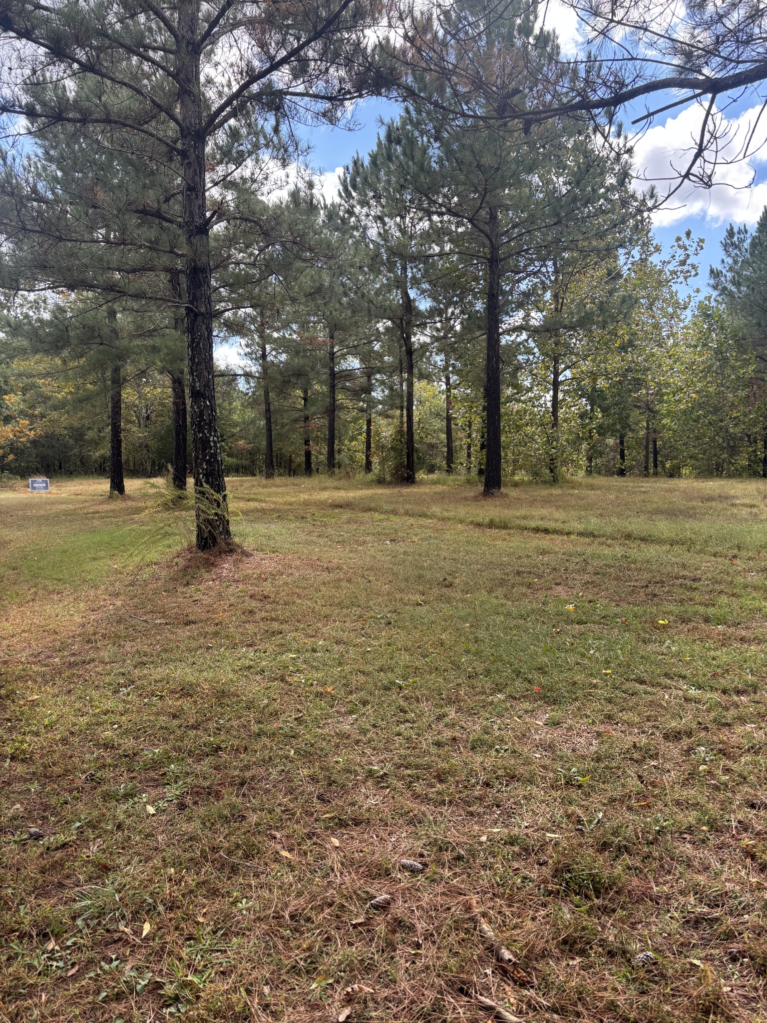280 Baptist Branch Road Mount Pleasant, TN 38474 - Photo 2 of 11 Gallery Image 2