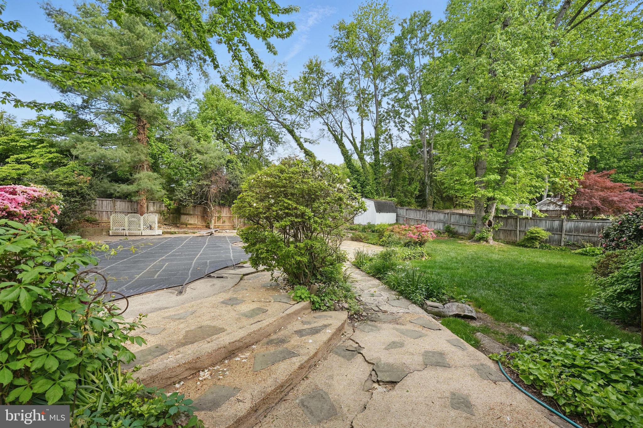 2524 Swift Run Street Vienna, VA 22180 - Photo 30 of 55 a view of a yard with potted plants and large trees