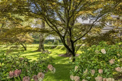 a view of a yard in front of house