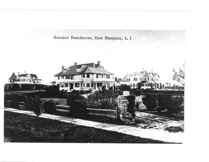 a view of a big yard with plants and large trees