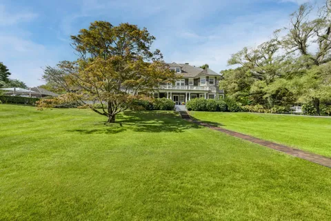 a view of a golf course with a tree