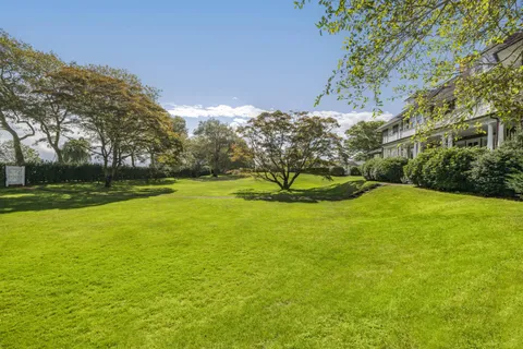 a view of a grassy field with trees