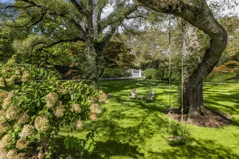 a view of a trees in a yard
