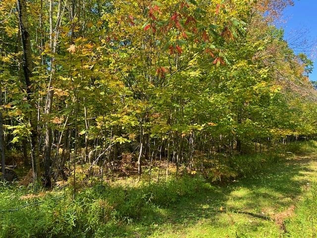 Maple Avenue Goodman, WI 54125 - Photo 1 of 1 Gallery Image 1